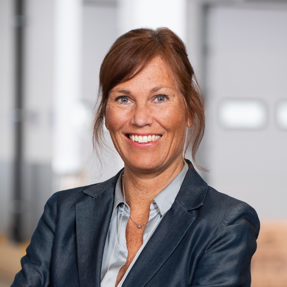 Annika Nyberg, Interimschef Flipr